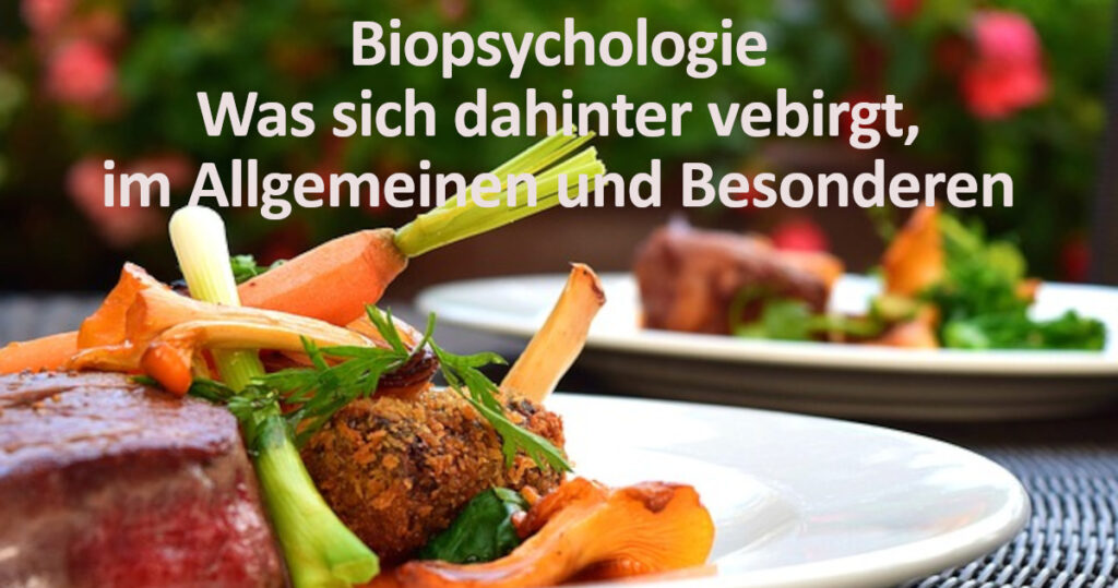 Biopsychologische Therapie Psychotherapie