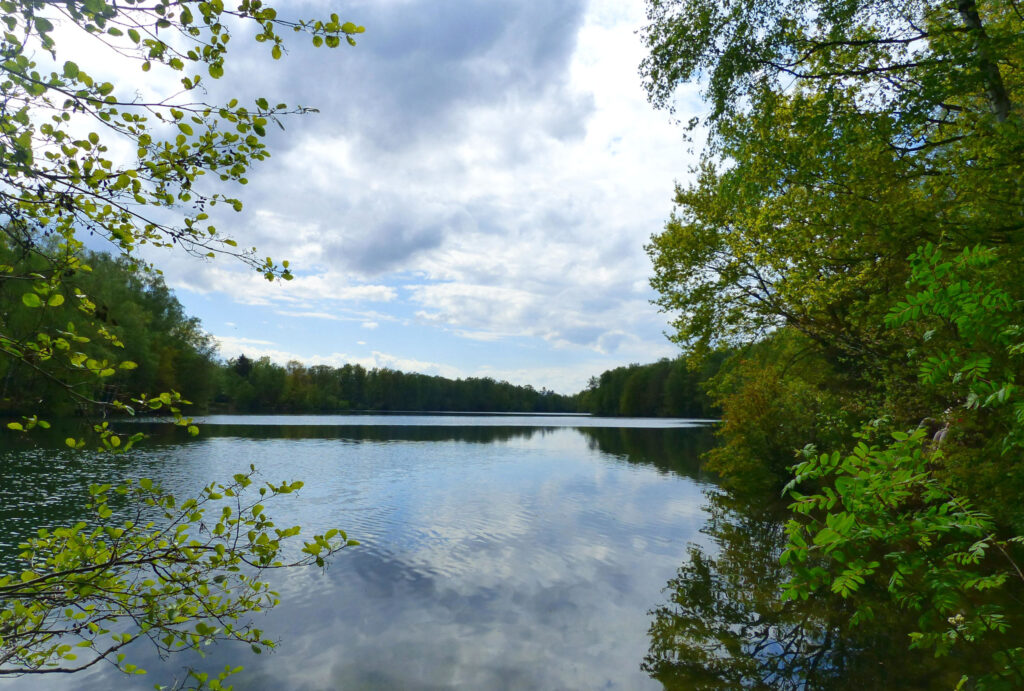 Psychotherapie Outdoor Settings | Praxis für Psychologie & Biopsychologie